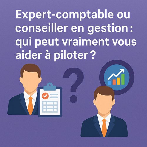 Expert-comptable ou conseiller en gestion pour un bon pilotage?