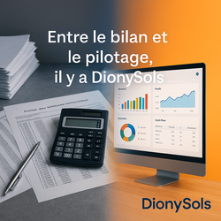 Entre le bilan et le pilotage, il y a DionySols Entre le bilan et le pilotage, il y a DionySols
